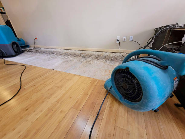Professional Sewage Cleanup technician working in Los Banos, CA